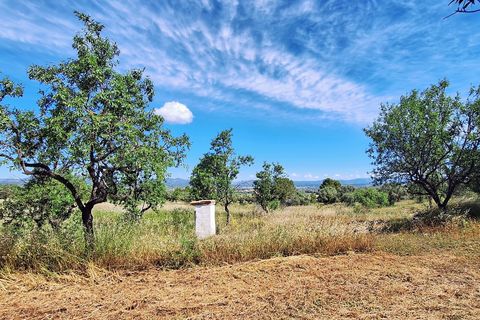 Landejendom i Ginestar, Tarragona, Ginestar - € 375.000 | Ref: CC845 - foto 19